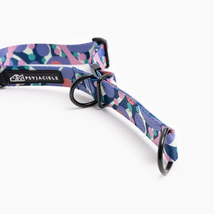 Half-clamp collar "Downward dog" - Master