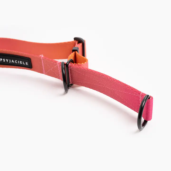 Obroża półzaciskowa dla psa lub kota "Under my ombrella" POMARAŃCZ - Master