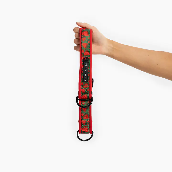 Obroża półzaciskowa SUPER SOFT "Większe niz poziomka na 9 liter" - Master