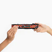 Obroża z klamrą SUPER SOFT "Pies, który lata najlepsze ma za sobą" - Master