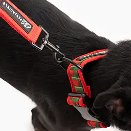 SUPER SOFT dog collar "Woof for the better world" - Master
