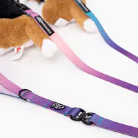 Leash for 2 medium or large dogs - Master