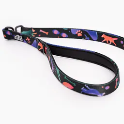 Leash for 2 medium or large dogs - Master