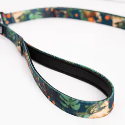 Leash for 2 medium or large dogs - Master