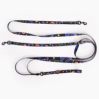 Leash for 2 medium or large dogs - Master