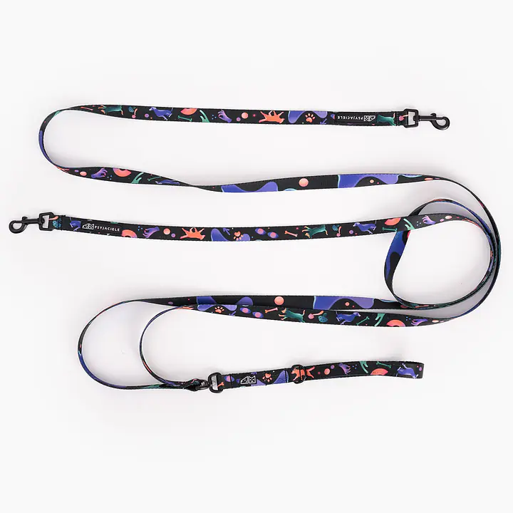 Leash for 2 medium or large dogs - Master