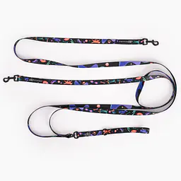 Leash for 2 medium or large dogs - Master