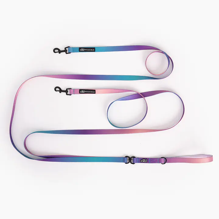 Leash for 2 medium or large dogs - Master