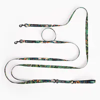 Leash for 2 medium or large dogs - Master