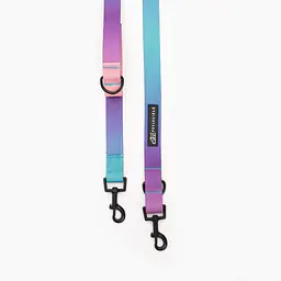 Smycz przepinana dla psa lub kota  "Under my ombrella" TURKUS - Master