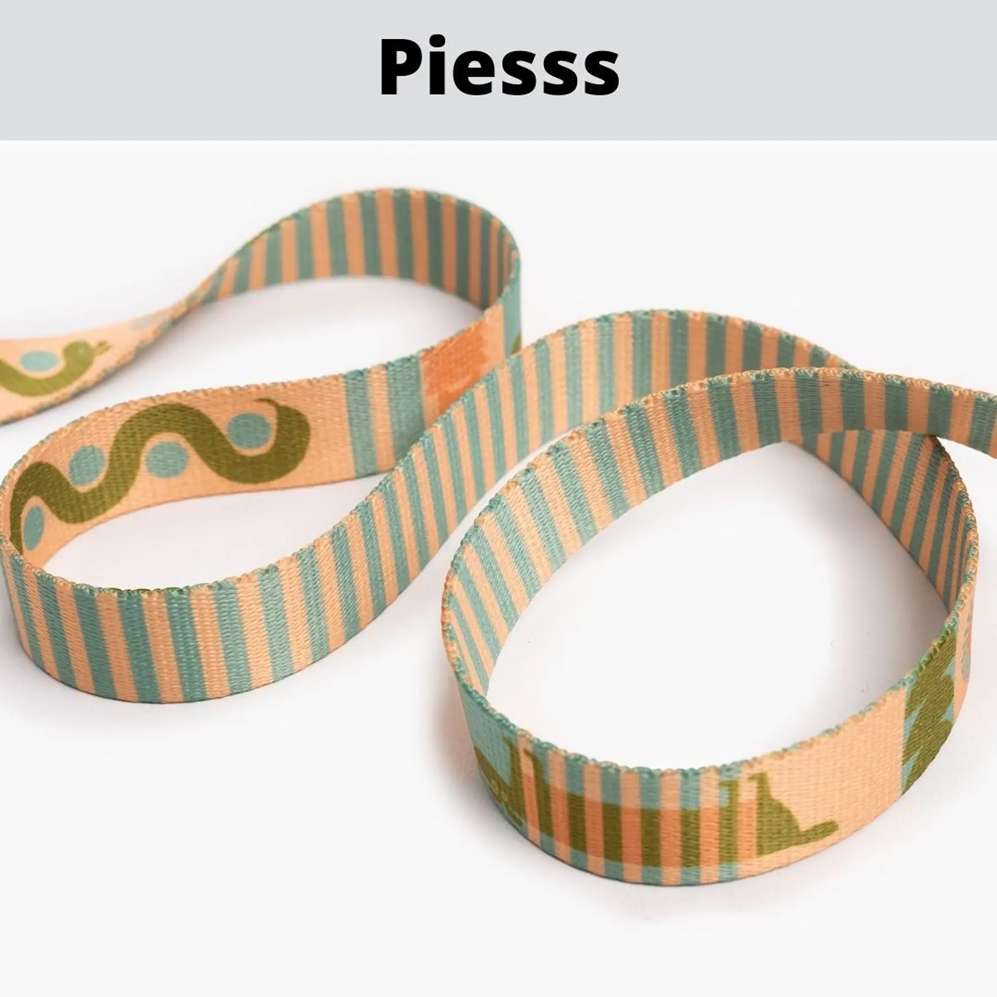 Adjustable leash for 2 medium or large dogs - Master