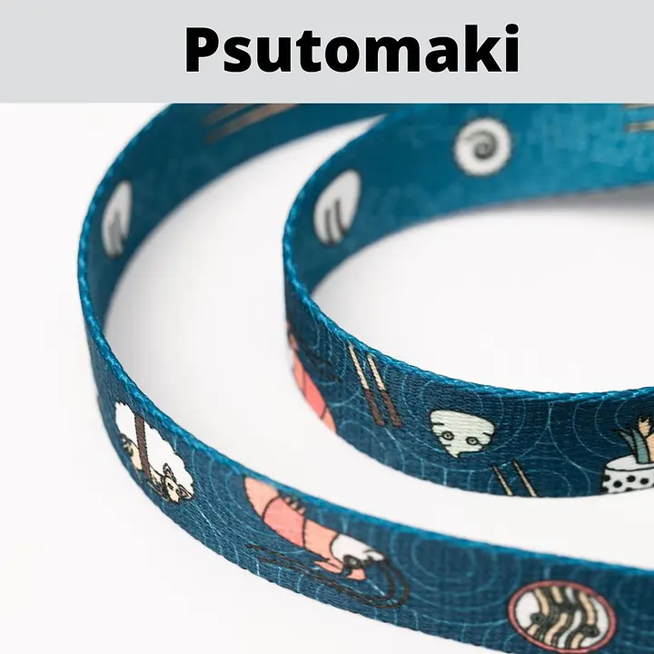 Leash for 2 medium or large dogs - Master