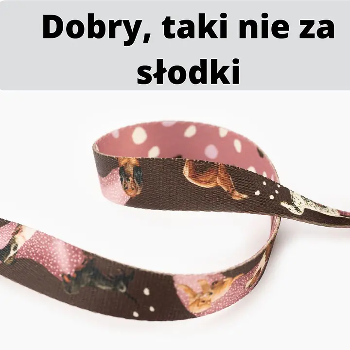 Smycz miejska dla 2 dużych i średnich psów - Master