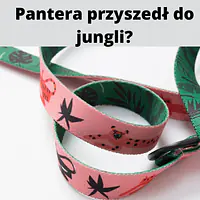 Smycz miejska dla 2 dużych i średnich psów - Master