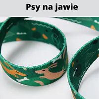 Smycz miejska dla 2 dużych i średnich psów - Master