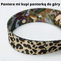 Leash for 2 medium or large dogs - Master