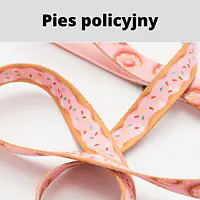 Smycz miejska dla 2 dużych i średnich psów - Master