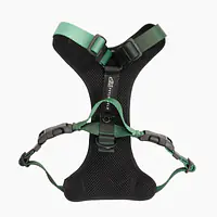 WYPRZEDAŻ Szelki bezuciskowe dla psa lub kota "Welcome to the jungle" - Master