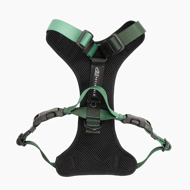 WYPRZEDAŻ Szelki bezuciskowe dla psa lub kota "Welcome to the jungle" - Master