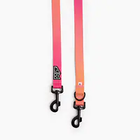 Adjustable leash "Under my ombrella" orange - Master