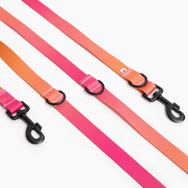 Adjustable leash "Under my ombrella" orange - Master