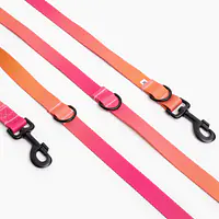Adjustable leash "Under my ombrella" orange - Master