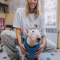 Koszulka z haftem biała  - Master