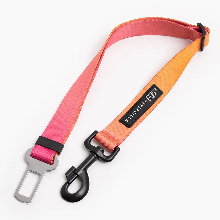 Car belt "Under my ombrella" orange - Master