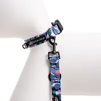 Dog or cat collar "Downward dog" - Master