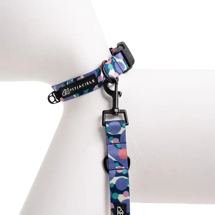 Dog or cat collar "Downward dog" - Master