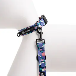 Obroża dla psa lub kota "Pies z głową w dół" - Master