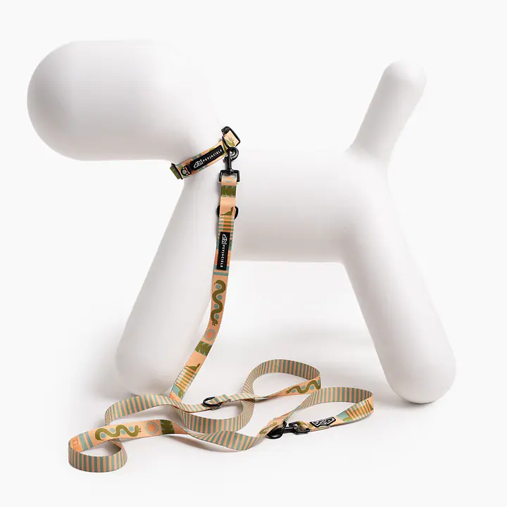 Dog or cat collar "Sausage dog" - Master