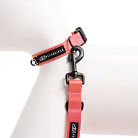 Dog or cat collar "Under my ombrella" orange - Master