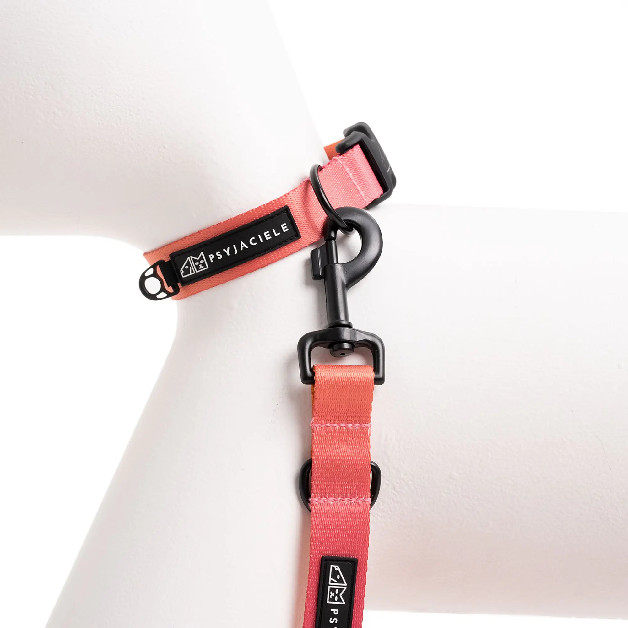 Dog or cat collar "Under my ombrella" orange - Master