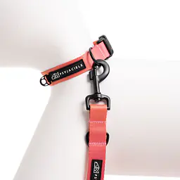 Obroża dla psa lub kota "Under my ombrella" POMARAŃCZ - Master