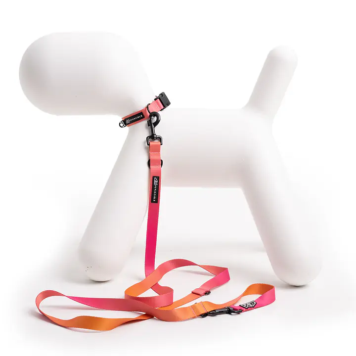 Dog or cat collar "Under my ombrella" orange - Master