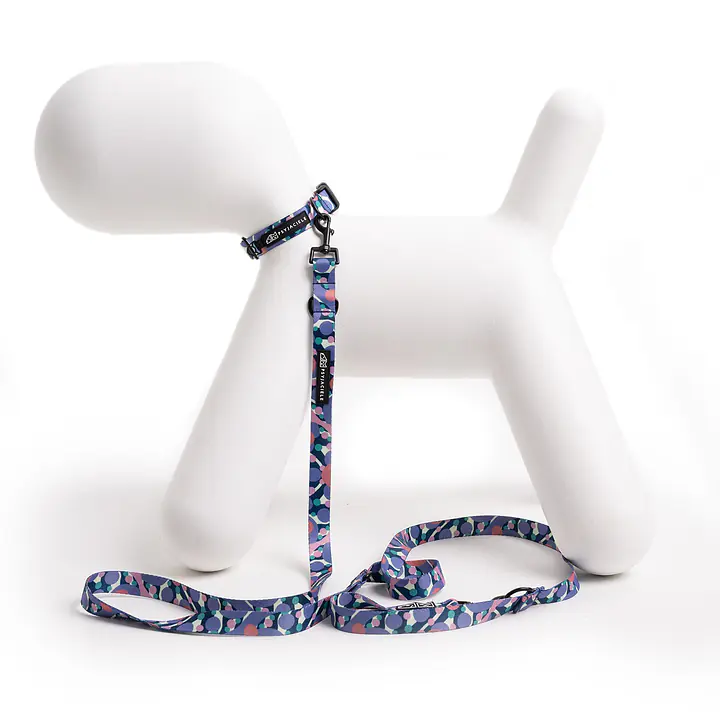 Dog or cat collar "Downward dog" - Master