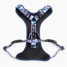 "Downward dog" pressure-free harness - Master