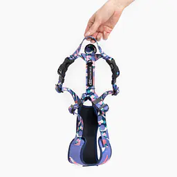 "Downward dog" pressure-free harness - Master