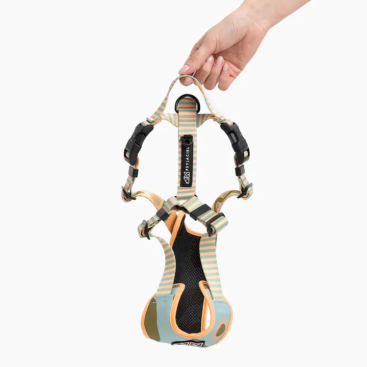 "Sausage dog" pressure-free harness - Master