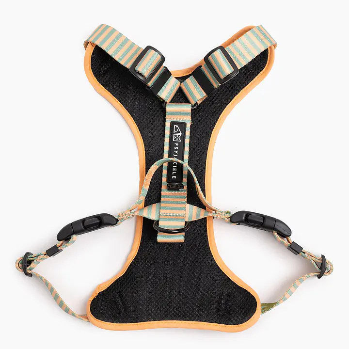 "Sausage dog" pressure-free harness - Master