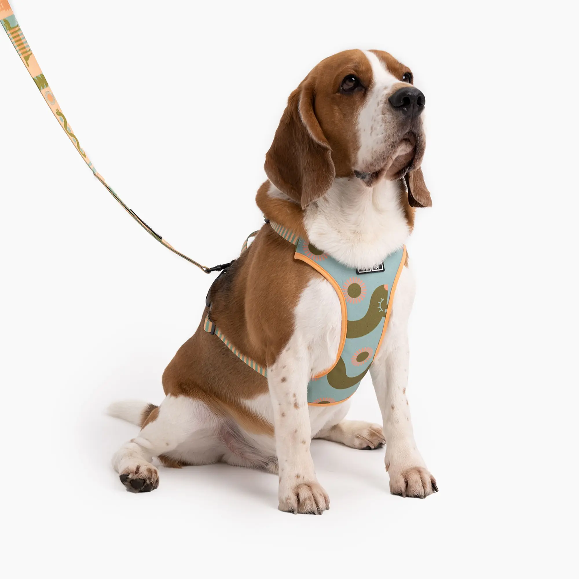 "Sausage dog" pressure-free harness - Master