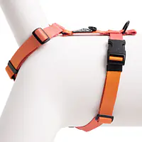 Dog or cat harness "Under my ombrella" orange  - Master
