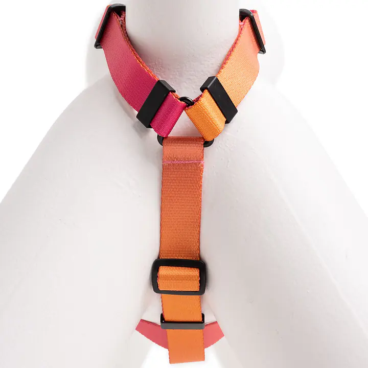Dog or cat harness "Under my ombrella" orange  - Master