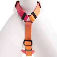Dog or cat harness "Under my ombrella" orange  - Master
