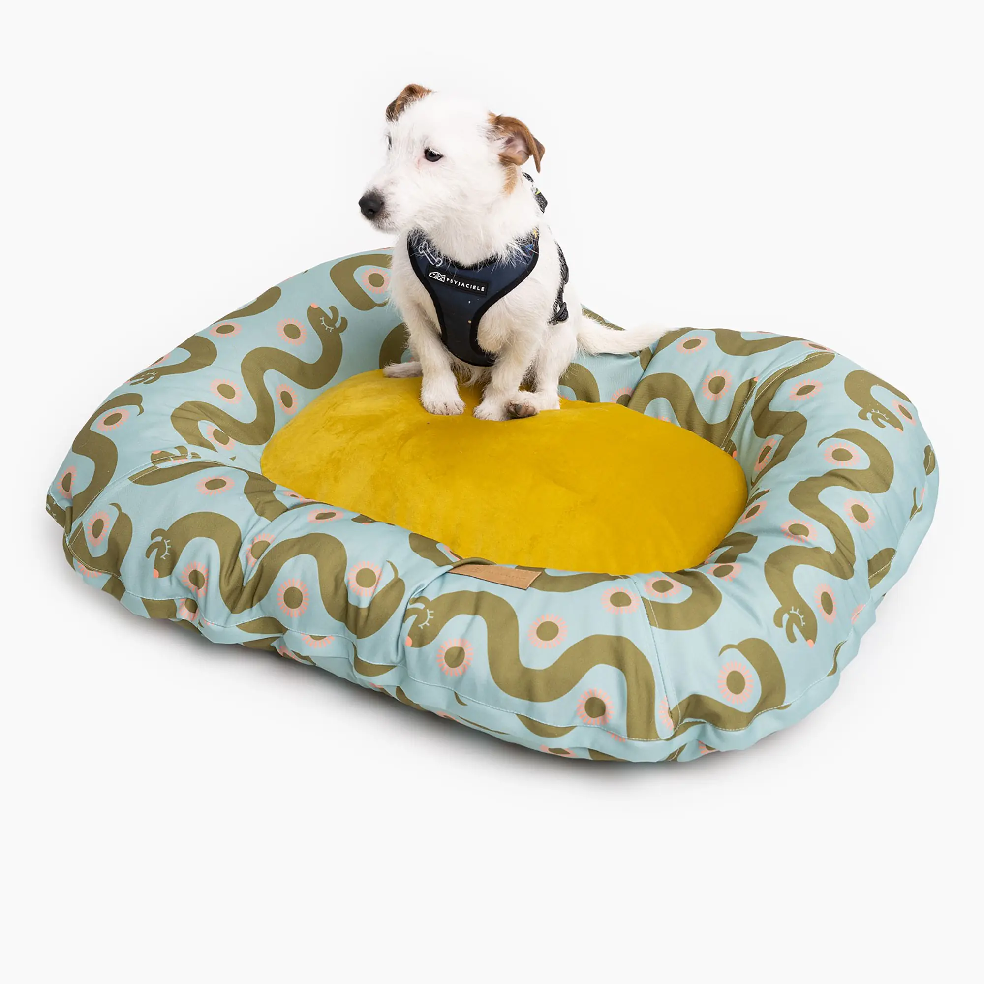 Pontoon "Sausage dog" - Master