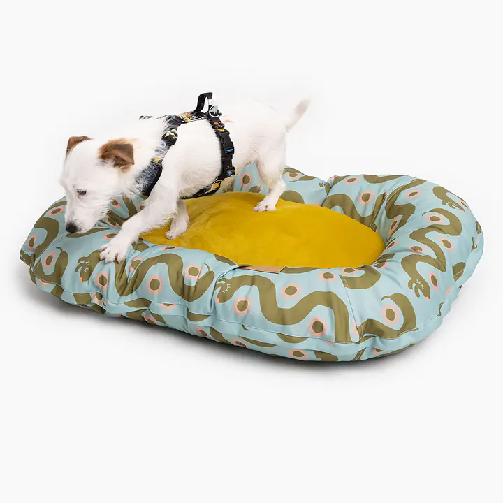 Pontoon "Sausage dog" - Master