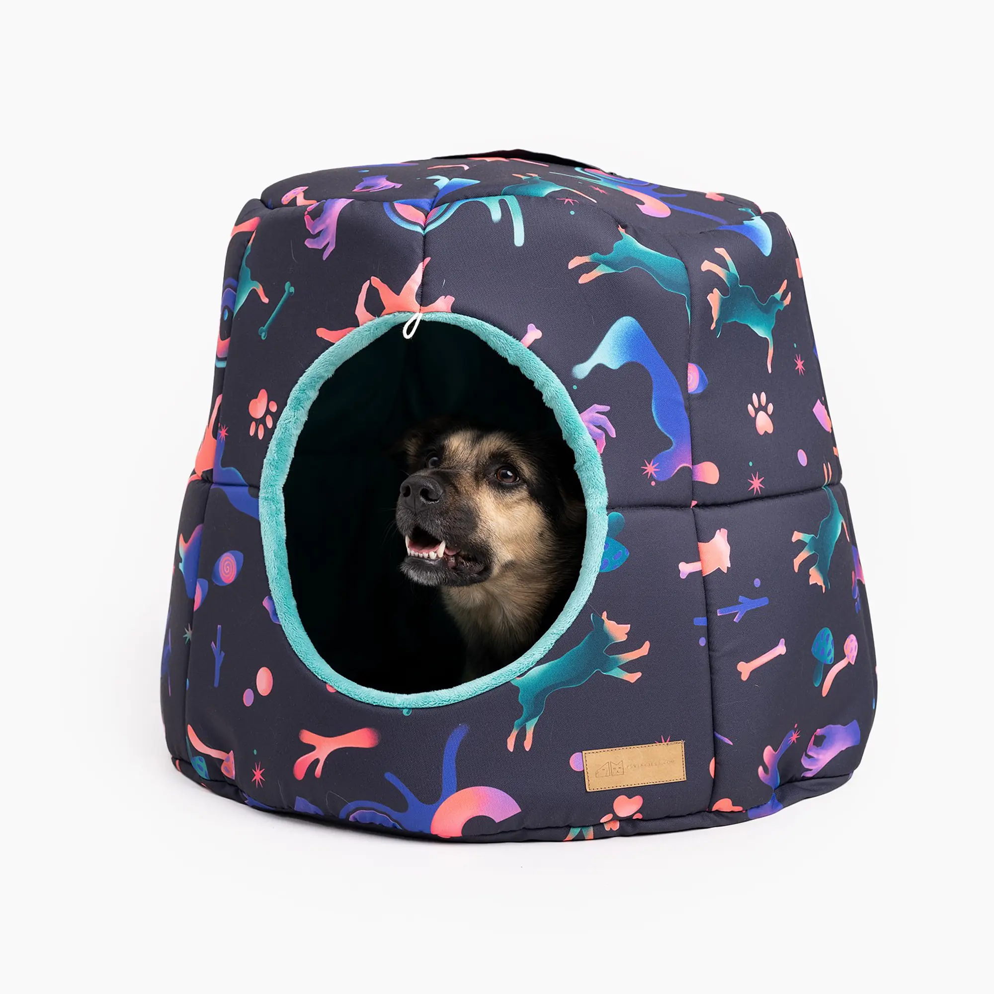 House 2 in 1 "Psychodelic" - Master