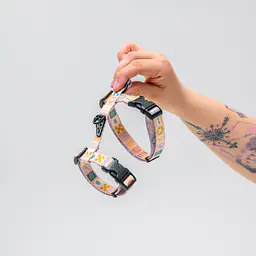 Cat harness "Beach please" - Master