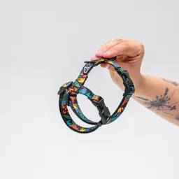 Cat harness "Eye of the tiger" - Master